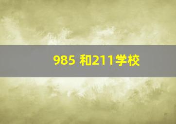 985 和211学校